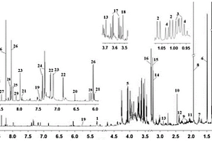 地龙1H NMR指纹图谱的构建方法与应用