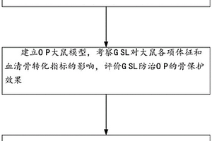 GSL防治OP作用机制的研究方法