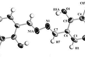3,5-二氯水杨醛缩水合肼双希夫碱的原位合成方法