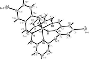 抗癌药物5‑溴水杨醛缩‑2‑溴‑6‑肼基吡啶席夫碱镍配合物及合成方法