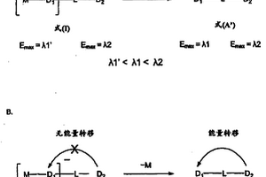 荧光共振能量转移酶底物