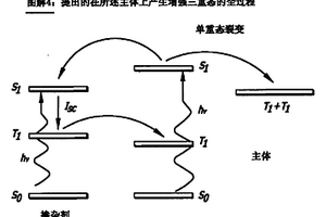 具有三重态捕获的有机光敏光电器件