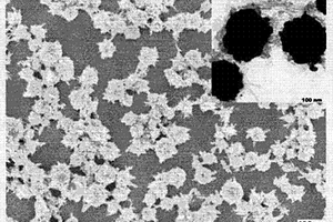 聚合物包覆的纳米簇核壳微球的制备方法