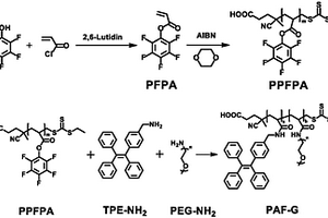 两亲性聚合物荧光材料及其合成方法