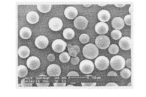 在水性介质中制备金属离子印迹聚合物微球的方法