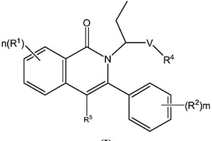 N-烷基取代芳基异喹啉酮化合物，其制备方法及药物组合物和应用