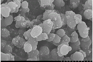 二氧化硅-精油微胶囊的制备方法