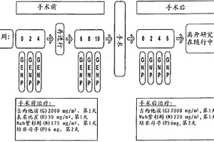 SPARC微环境标签在癌症治疗中的应用