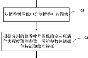 檀香叶片灰斑病危害程度的确定方法和装置