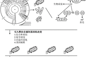 包括重构固氮微生物的农业组合物