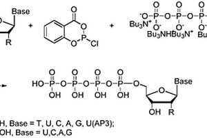 核苷四磷酸的合成方法