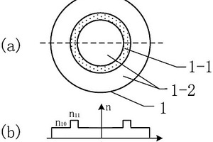 环形芯光纤SPR传感器