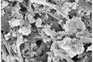氮掺杂中空碳纳米线接枝聚吡咯的制备方法及其用途