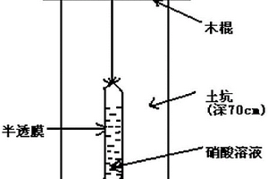 用于提取土壤气中深部铀矿化信息的方法