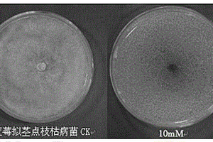 格列本脲在制备用于防治由植物病原菌引起的植物病害的杀菌剂中的用途