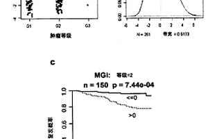 肿瘤分级和癌症预后