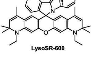 用于溶酶体超分辨荧光成像的自闪荧光染料及其合成方法与应用
