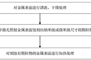 自清洁金属表面及其制备方法和制备装置