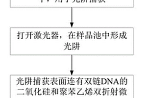 基于双折射微球旋转的DNA解螺旋的方法和装置