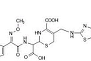 头孢吡肟精氨酸聚合物及其制备方法和用途