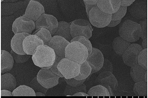 含氟胆碱类离子液体接枝“干荔枝型”聚合物微球的制备方法及应用
