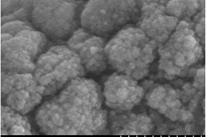 三维γ-Fe2O3纳米材料的制备方法及其应用