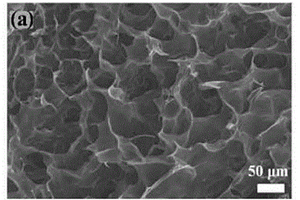 石墨烯-石墨烯纳米带海绵的制备及其表征的方法