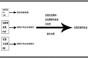 固态电池塑料封装材料及其应用