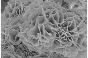 双金属共掺杂磷化镍纳米片的制备方法及用途