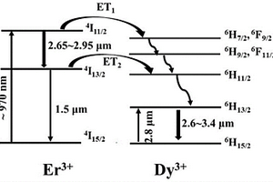 宽谱带中红外Er,Dy:YAP激光晶体及其制备方法和应用