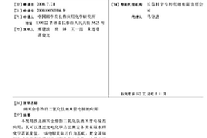 纳米金修饰的二氧化钛纳米管电极的应用