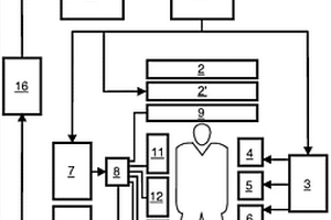 具有Dixon类型水/脂肪分离和关于主磁场的不均匀性的先验知识的MRI