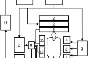 具有DIXON类型的水/脂肪分离的MR成像