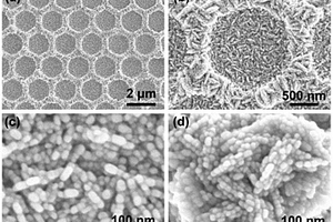 银纳米颗粒组装的单层反蛋白石结构及其制备方法和用途
