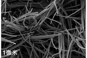 原位合成铜纳米线阵列材料及其制备方法和应用