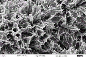 碳布原位生长三明治型核壳电极材料的制备方法