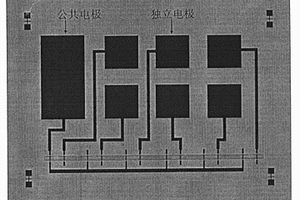 以单壁碳纳米管为电极的横向相变存储器的制备方法