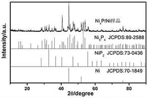 片状钠离子电池NiXP/Ni负极材料及其制备方法