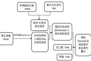 PVA-HEA紫外线三维剂量计的制备方法及应用