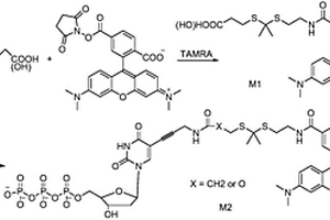 硫代缩酮连接单元及其合成方法、用途