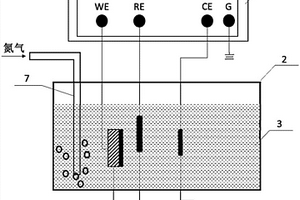 快速实现不锈钢点蚀发生和发展的腐蚀试验方法及装置