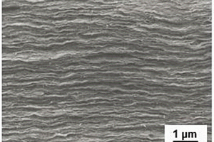 纳米石墨烯-碳纳米管-离子液体复合膜及其制备与应用