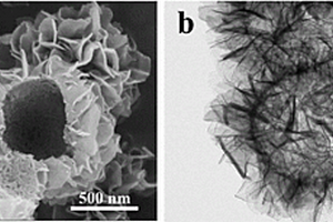 非晶相分级中空微球纳米材料及其制备方法与应用