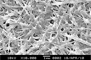 湿法制备细菌纤维素/聚乙烯醇复合膜的方法