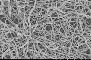 碳包覆Na2Li2Ti6O14纳米纤维及其制备方法