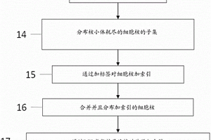 单细胞全基因组文库及制备其的组合索引方法