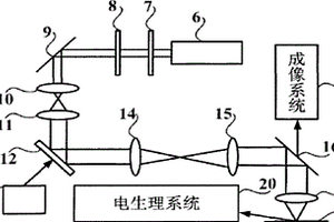 三维光刺激系统