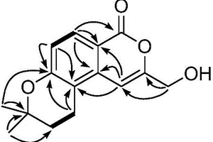 异香豆素类化合物及其制备方法和用途