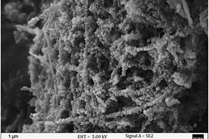 二硫化镍/碳纳米管复合电极材料及制备方法和应用