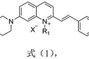 比率型荧光探针及其制备方法与应用